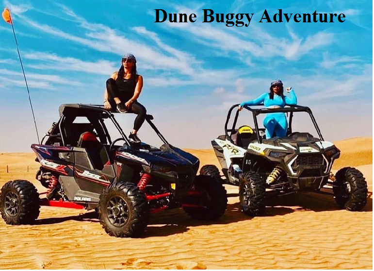 dune buggy safari tour