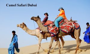 Camel Safari Dubai